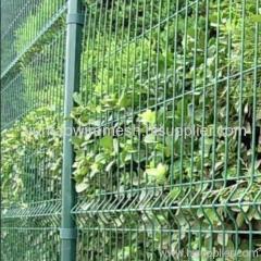 Welded Mesh Fencing Grace