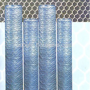 Hexagonal Wire Nettings