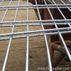 galvanized welded panel