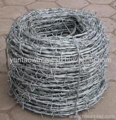 Barbed Wire Fencing