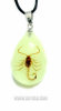 Real Scorpion Insect Amber Pendant, Necklace .it Can Glow-in