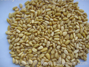 pine nuts