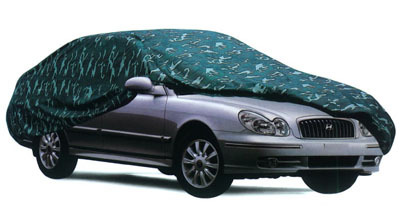 Car Cover