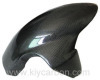 MV Agusta carbon fiber front fender