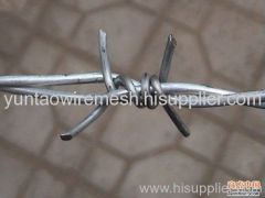 galvanized barbed wire