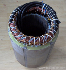 Stator