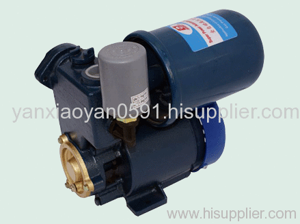 Automatic Pump