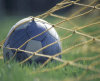 football net