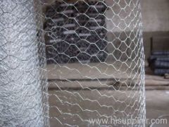 Hexagonal Wire Mesh