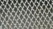 Welded Razor Wire Supplier