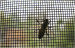 Plastic Insect Screens