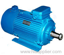 hoist application motor