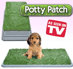 Potty Patch