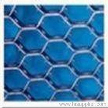 tortoise mesh