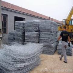 hexagonal wire netting