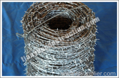 hot diped galvanized barbed wire