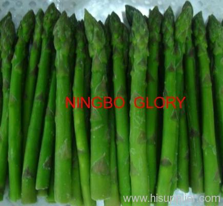 IQF green asparagus spring