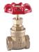 Bronze gate valve