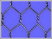 PVC Coated Hexagonal Wire Mesh