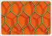 PVC Coated Hexagonal Wire Mesh