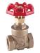 Flange bronze gate valve