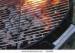 Anping Barbecue grill netting