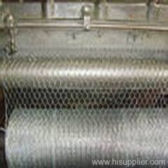 hexagonal wire netting