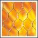 Hexagonal Wire Nettings