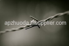 Barbed Wire Zhouda