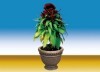 Resin Flower Pot