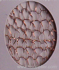 China Brass wire mesh