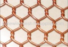 China Brass wire mesh