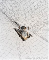Anti-bird netting