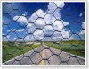 Hexagonal Wire Mesh