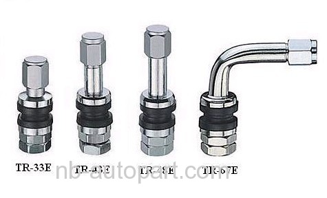 clamp-in tubeless valve