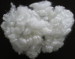 polyester fiber