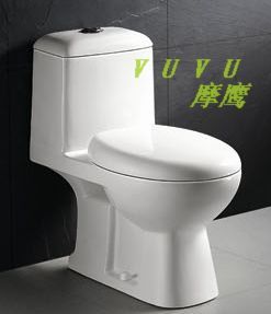 One-piece Toilet