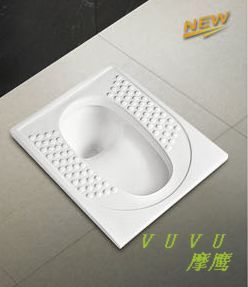 Squatting WC