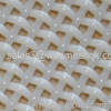 Polyester Mesh Belt