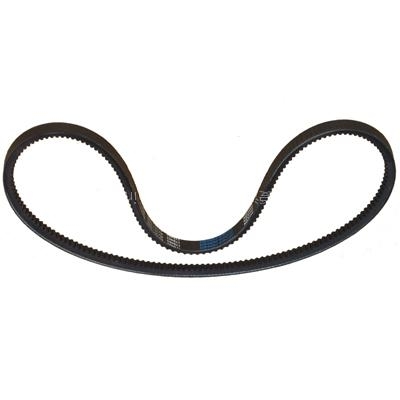 Cummins belt