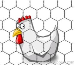 Hexagonal Wire Mesh