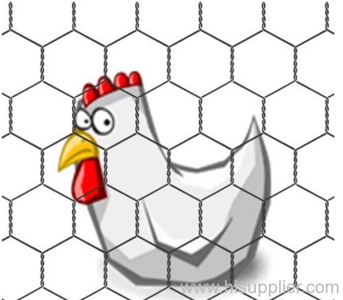 hot gal hexagonal wire mesh