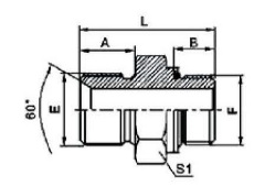 BSP MALE DOUBLE USE FOR 60°SEAT OR BONDED SEAL