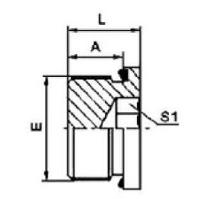 BSP MALE CAPTIVE SEAL HOLLOW HEX PLUG