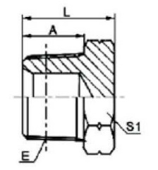 BSPT MALE PLUG