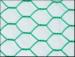 PVC Coated Hexagonal Wire Mesh