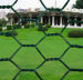 PVC Coated Hexagonal Wire Mesh