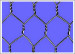 hexagonal wire cloth