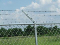 Barbed Wires