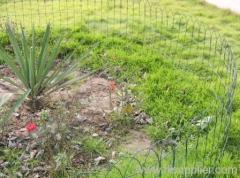 Garden Border Fence